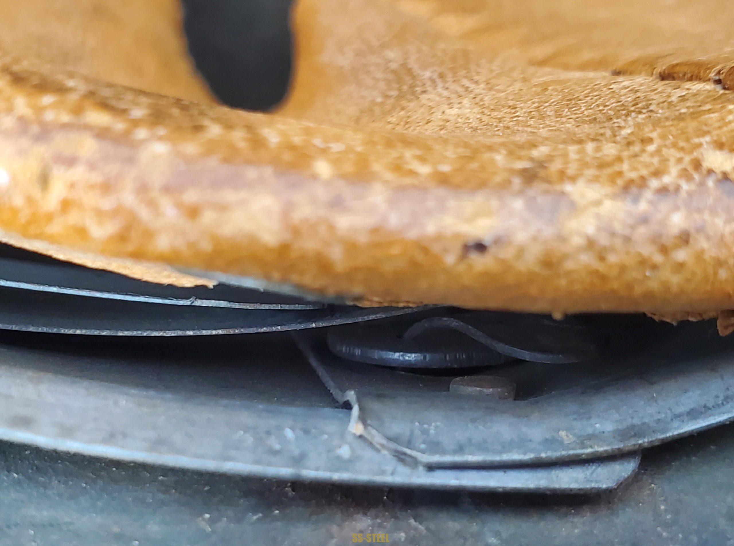 Published Waffen-SS Reverse Decal M42 Double Decal - Image 5