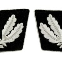 (CG) Exquisite Matching SS-Oberführer Tabs