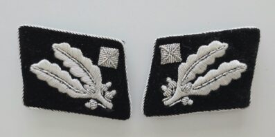 Mint SS-Brigadeführer Tabs, Screw-back