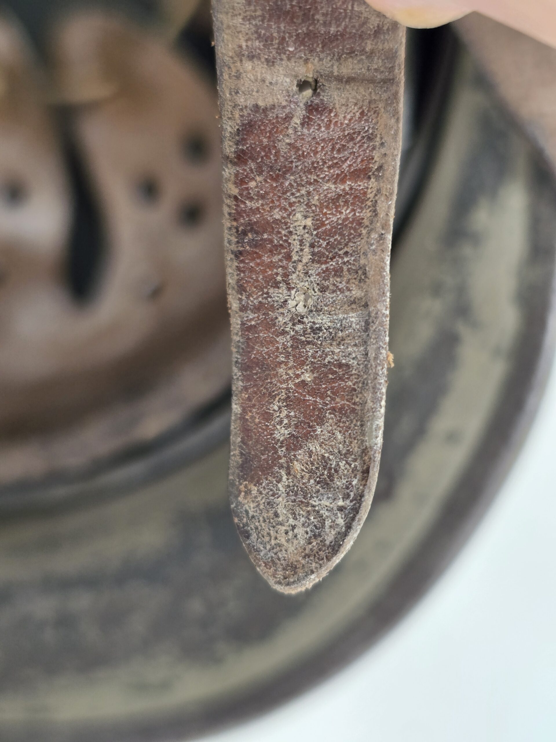 Killer Heer Camo, Later War Scheme - Image 11