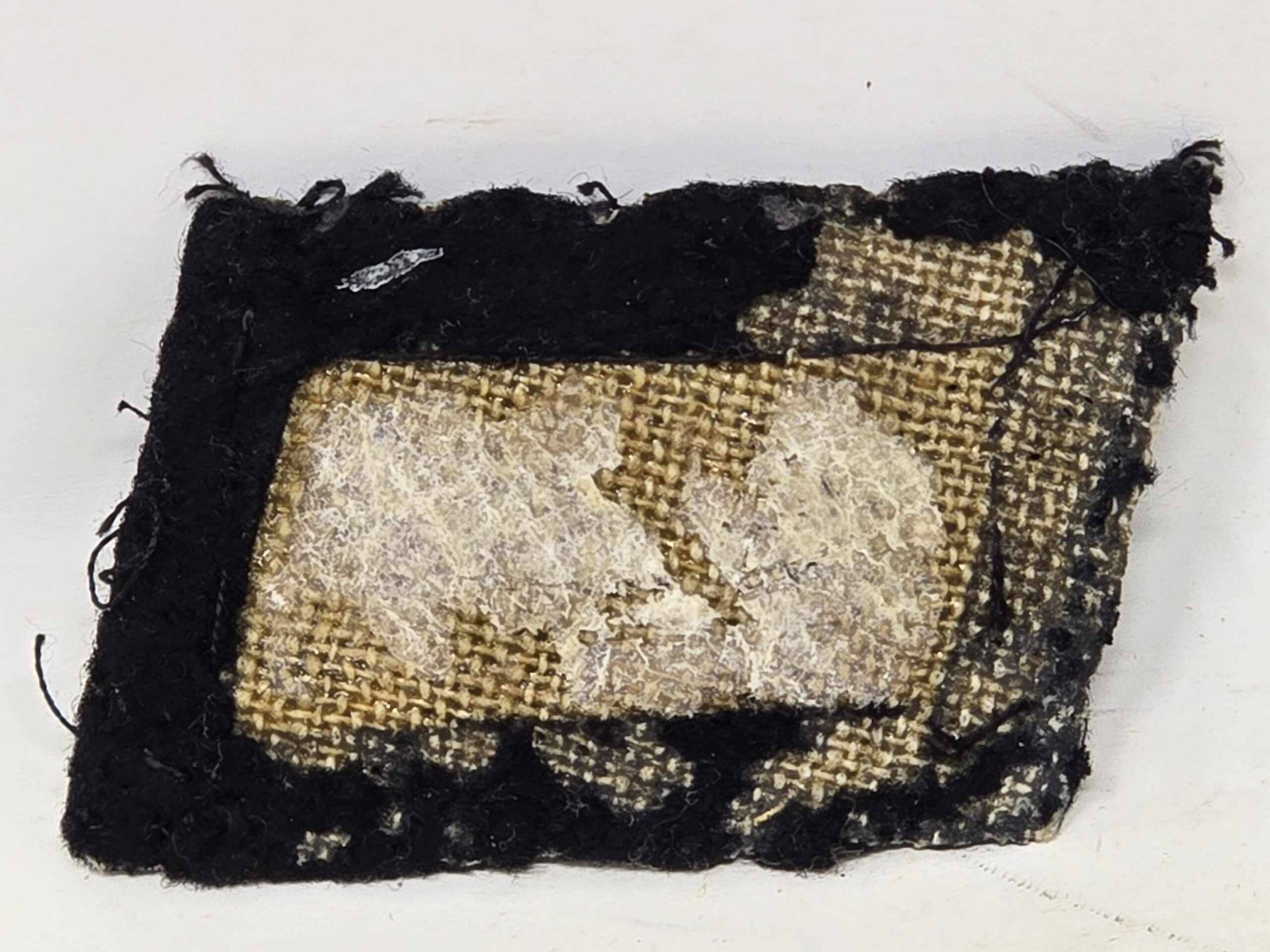 Well-provenanced SS Cut-off Grouping, Feldlazarett - Image 7