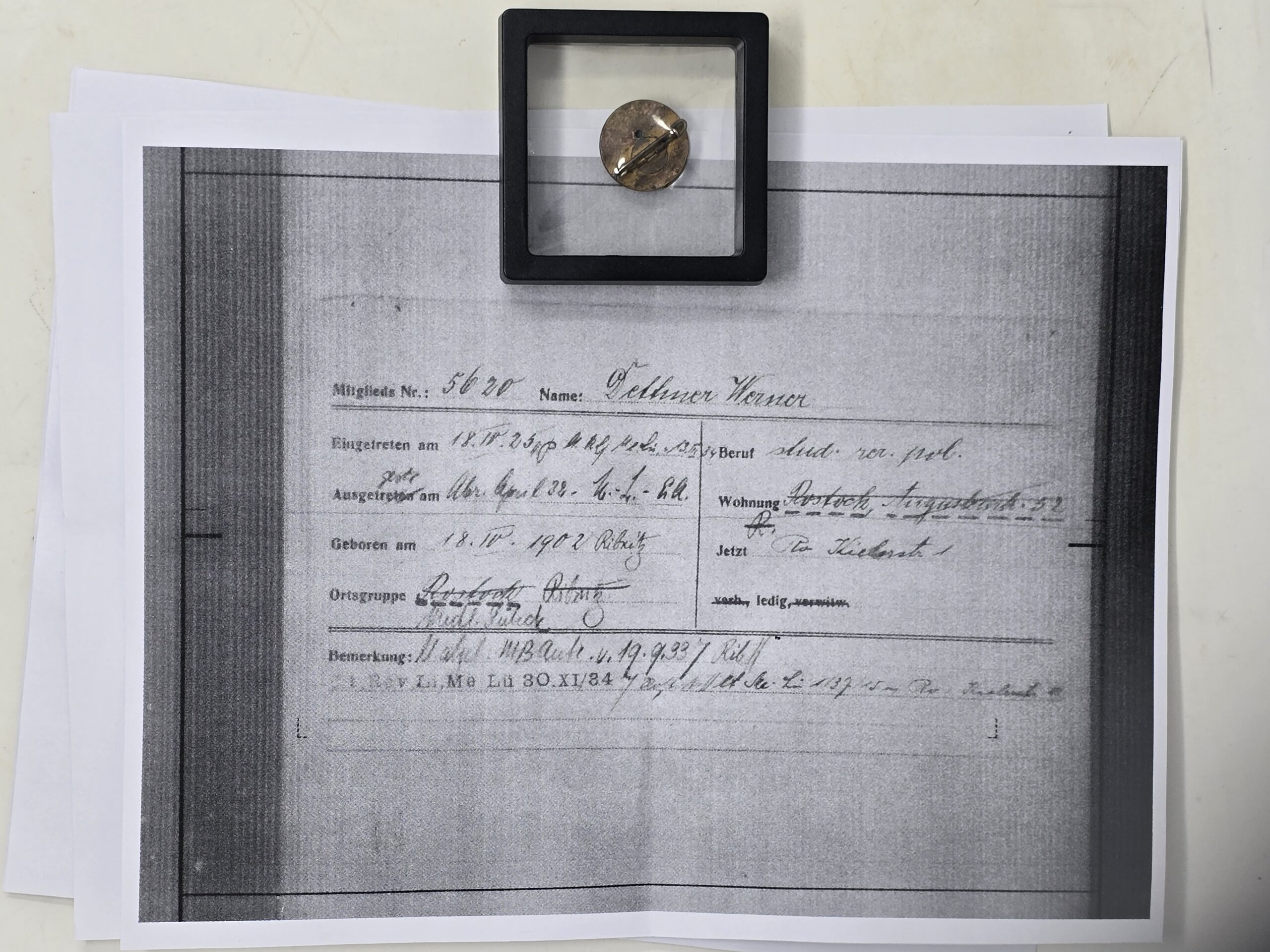 SS Member Attributed Gold Party Badge - Image 2