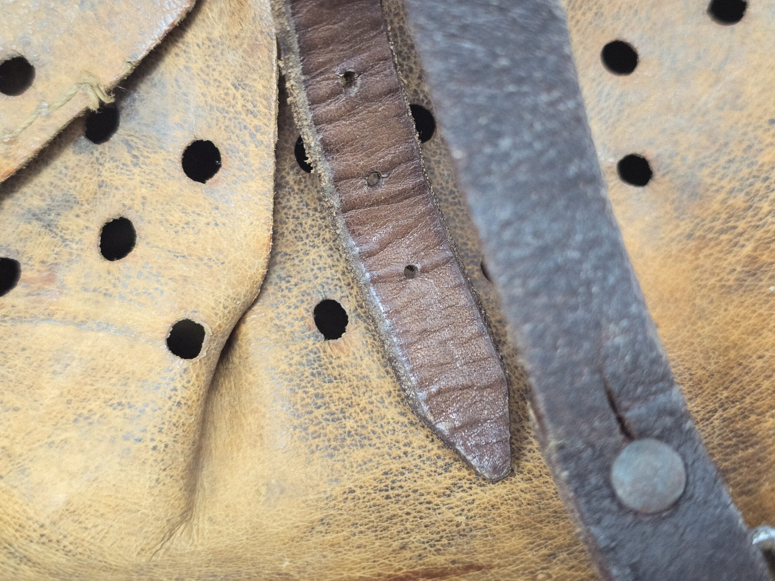 Heer M42 ET64 Single Decal - Image 3