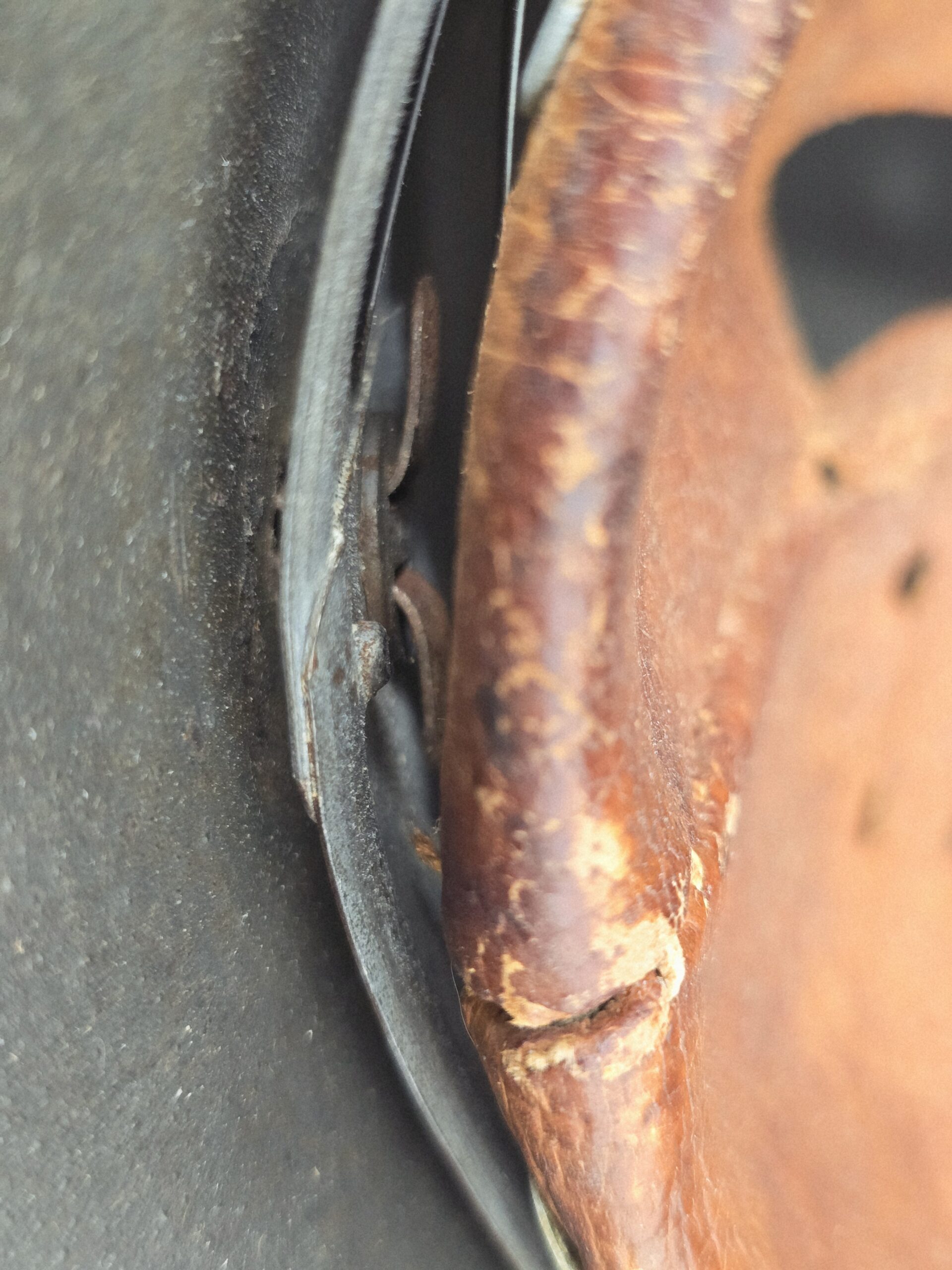 Heer M42 Single Decal Helmet - Image 2