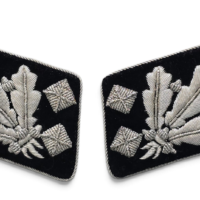 Beautiful Matched Set of SS-Obergruppenführer Collar Tabs