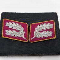 Political Reichs Hauptdienstleiter Uniform Matched Set Collar Tabs-Rare