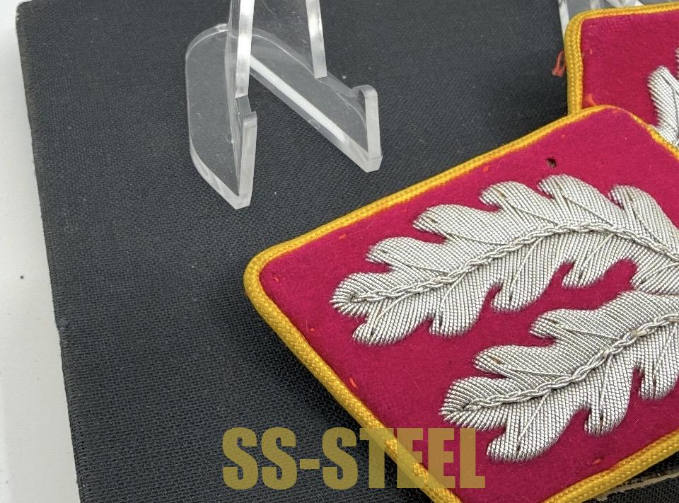 Political Reichs Hauptdienstleiter Uniform Matched Set Collar Tabs-Rare - Image 6
