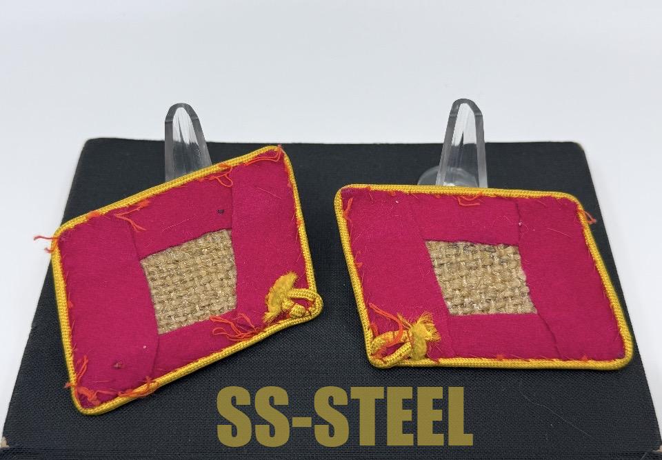 Political Reichs Hauptdienstleiter Uniform Matched Set Collar Tabs-Rare - Image 8