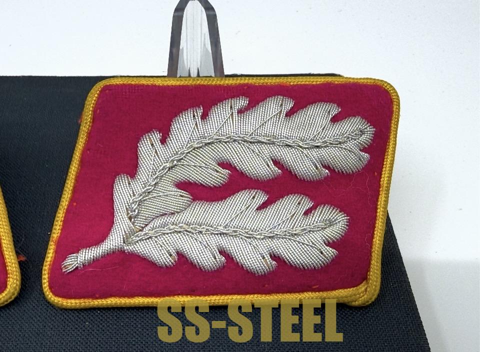 Political Reichs Hauptdienstleiter Uniform Matched Set Collar Tabs-Rare - Image 10