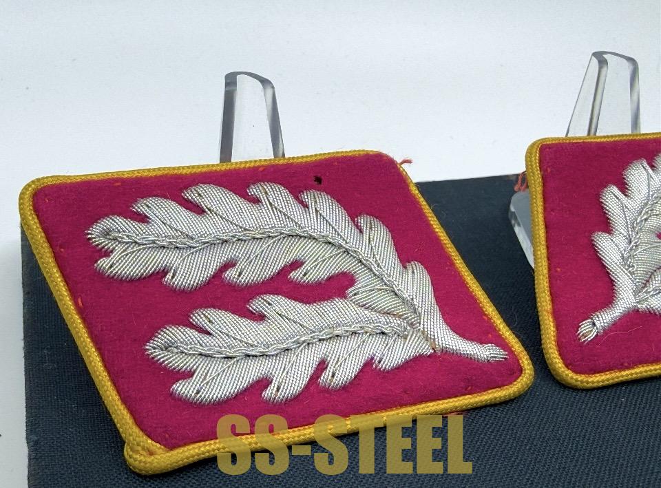 Political Reichs Hauptdienstleiter Uniform Matched Set Collar Tabs-Rare - Image 11