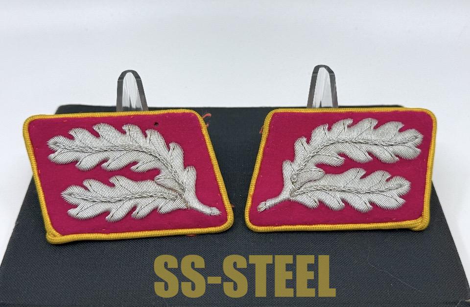 Political Reichs Hauptdienstleiter Uniform Matched Set Collar Tabs-Rare - Image 12
