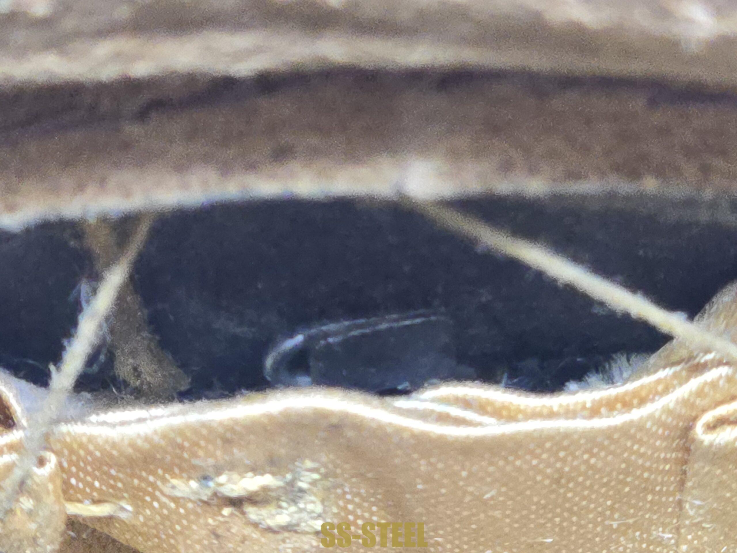 Fine Waffen-SS Officer’s Visor Cap for Artillery / StuG - Image 16